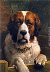 A St. Bernard Dog by Otto Eerelman